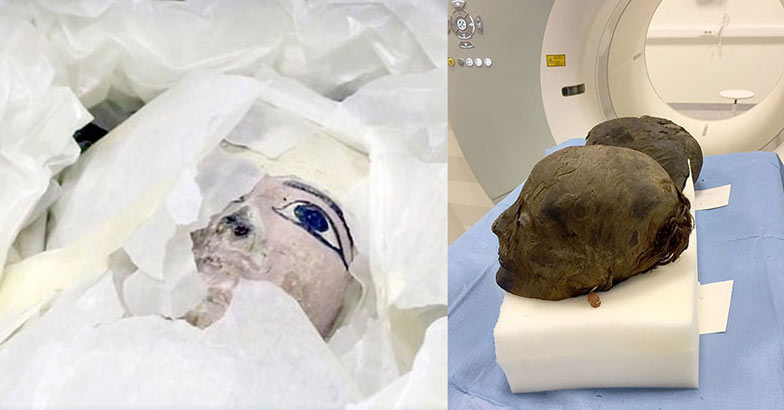 3000 വർഷം കഴിഞ്ഞിട്ടും ദ്രവിക്കാത്ത ‘മമ്മി’യുടെ മുടി; എന്താണ് അതിനു പിന്നിലെ രഹസ്യക്കൂട്ട്?, Ancient Egyptian mummy, Hair, Preserved, Manorama Online