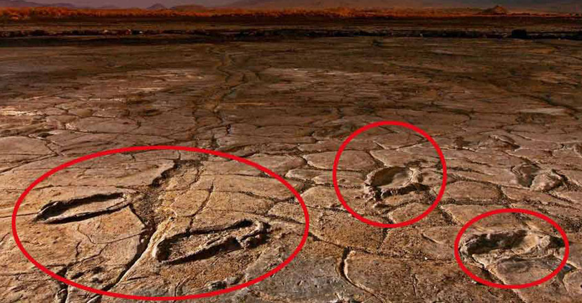 ‘ദൈവത്തിന്റെ പർവത’ത്തിനു സമീപത്തെ ആ അജ്ഞാത കാലടിപ്പാടുകൾ; ആരായിരുന്നു അത്?, 5Ancient human footprints, found near African volcano, Padhippura , Manorama Online