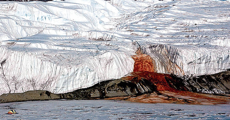 തൂവെള്ള ഹിമപാളികളുടെ വിടവിൽ രക്ത പ്രവാഹം!,  Blood falls, Antarctica, Padhippura, Manorama Online
