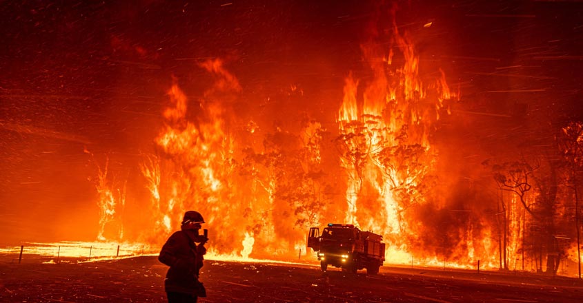 കത്തിയെരിഞ്ഞ് ഓസ്ട്രേലിയ; എന്തുകൊണ്ട് ഈ അഗ്നിതാണ്ഡവം..?,  Cause, Australian  bushfires 2019, Padhippura, Manorama Online