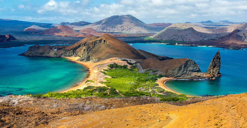ഗാലപ്പഗോസ് ദ്വീപുകളിലെ വിചിത്ര ജീവികൾ!, Galapagos islands, Animals, Evolution, Padhippura, Manorama Online