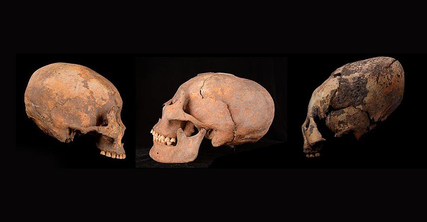 കല്ലറ നിറയെ നിഗൂഢ നീളൻ തലയോട്ടികൾ; ചൈന വെളിപ്പെടുത്തിയ ആ രഹസ്യം!, oldest alien skull deformation china archeology, Manorama Online