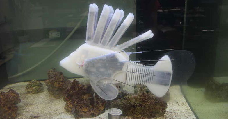 ലോകത്ത് ഇന്നേവരെയില്ലാതിരുന്ന ഒരു മീനിന്റെ വിശേഷങ്ങൾ...!, Lifelike robotic fish, Scientists, Padhippura, Manorama Online