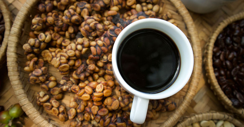 കിലോഗ്രാമിന് 25,000 രൂപയുള്ള സിവെറ്റ് കോഫി!,  History, Tea, Coffee, Civet coffee, Manorama Online