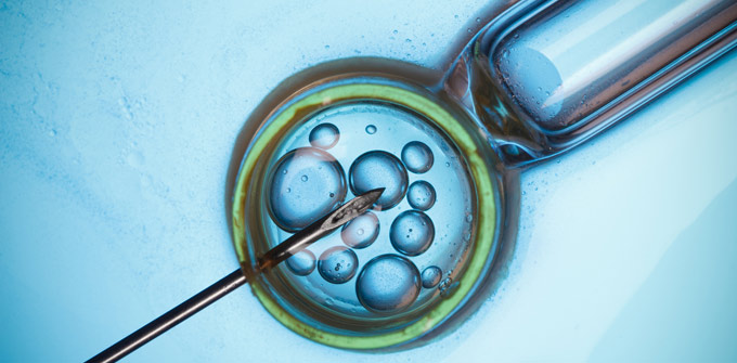 IVF Treatment Guidelines