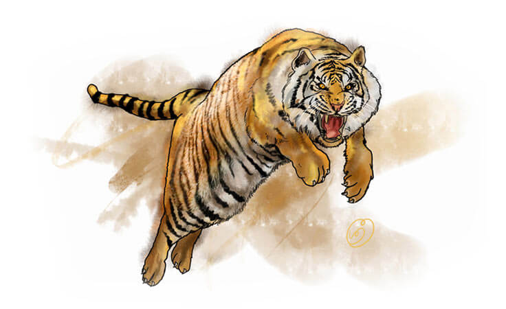 jump-tiger