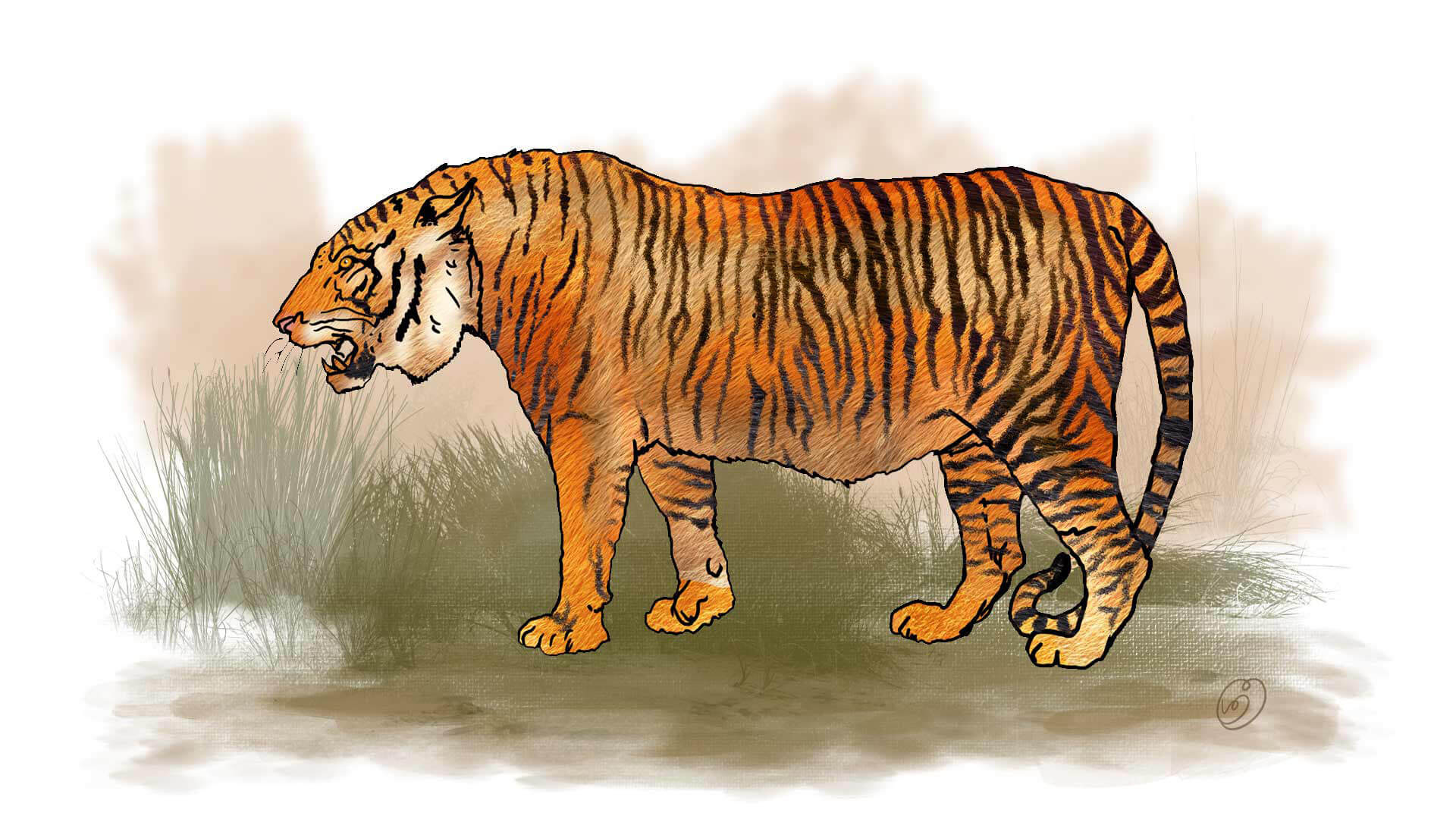 caspian-tiger