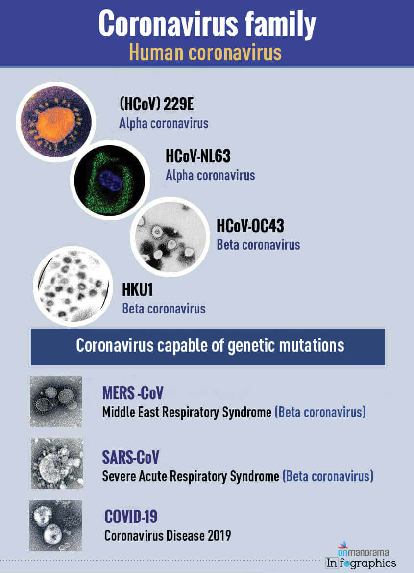 coronavirus family types