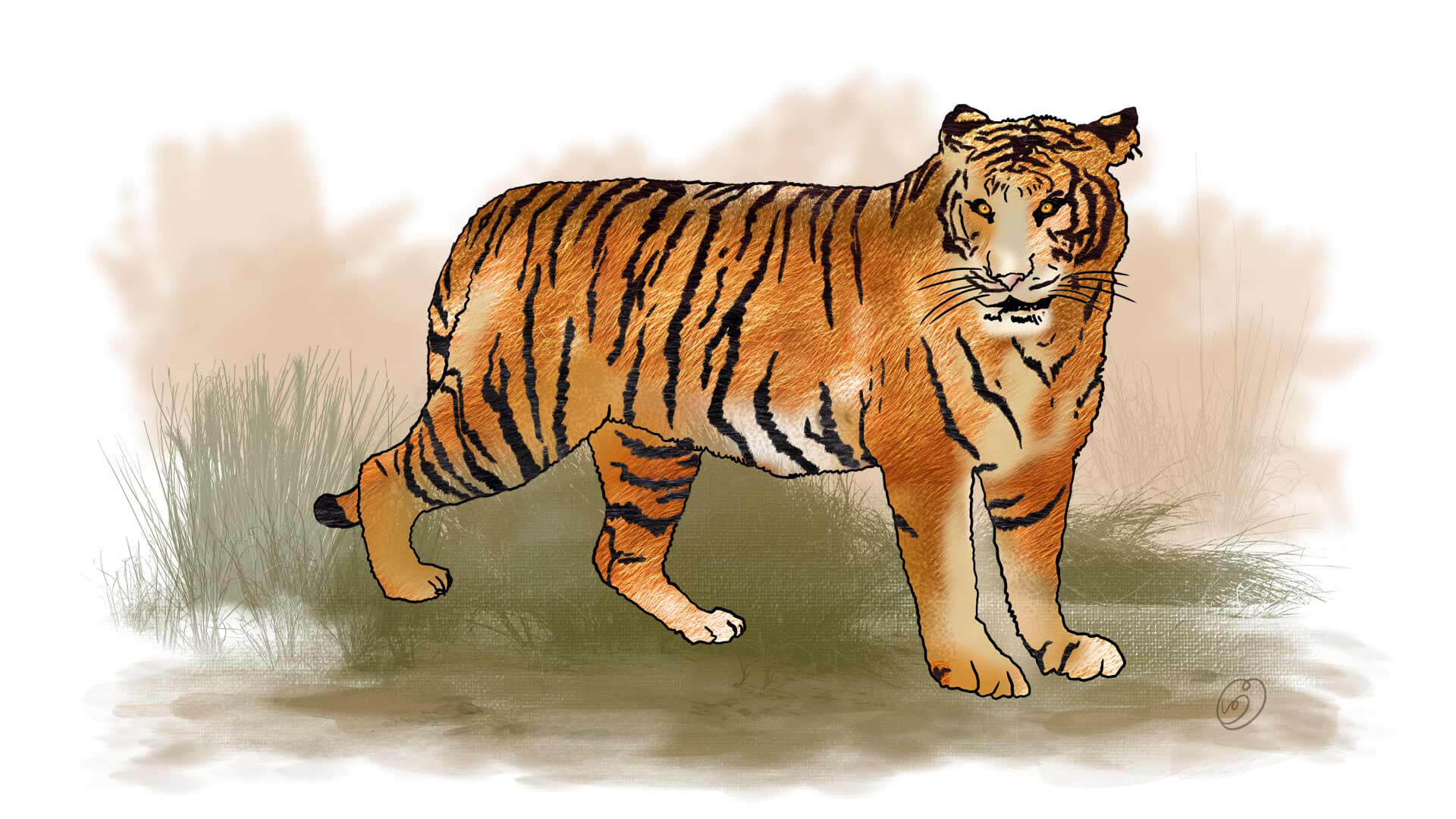 malaylan-tiger